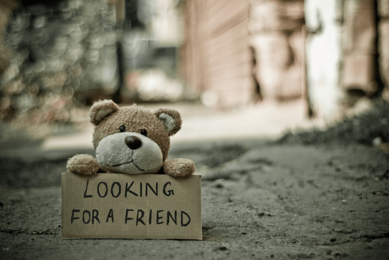 Teddy Bear Looking For A Friend